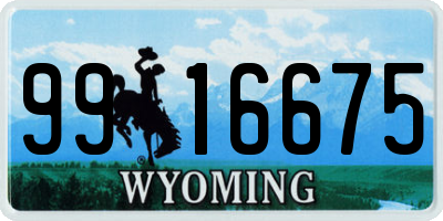 WY license plate 9916675
