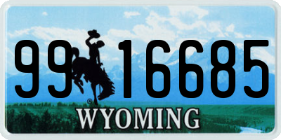 WY license plate 9916685