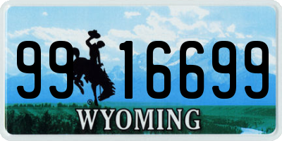 WY license plate 9916699