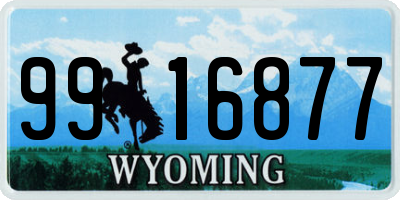 WY license plate 9916877