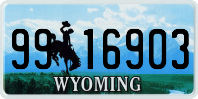 WY license plate 9916903