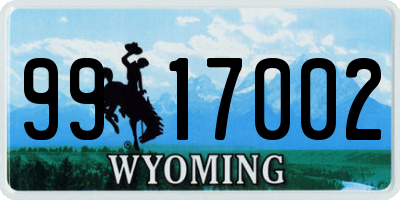 WY license plate 9917002