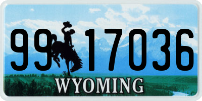 WY license plate 9917036
