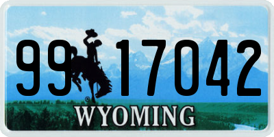 WY license plate 9917042