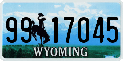 WY license plate 9917045