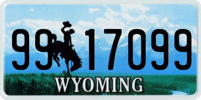 WY license plate 9917099