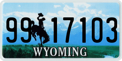 WY license plate 9917103