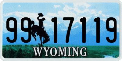 WY license plate 9917119