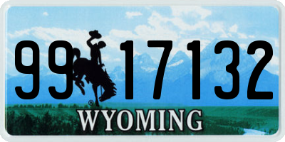 WY license plate 9917132