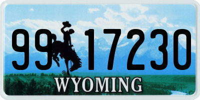 WY license plate 9917230