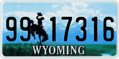 WY license plate 9917316