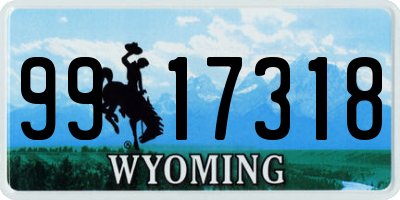 WY license plate 9917318