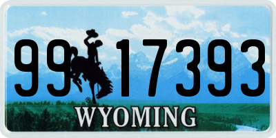 WY license plate 9917393