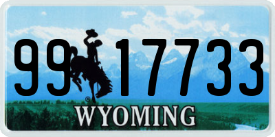 WY license plate 9917733
