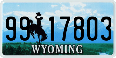 WY license plate 9917803