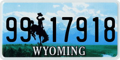 WY license plate 9917918