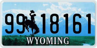 WY license plate 9918161
