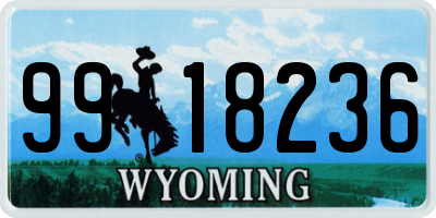 WY license plate 9918236