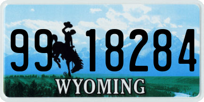 WY license plate 9918284
