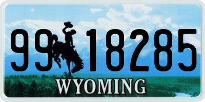 WY license plate 9918285