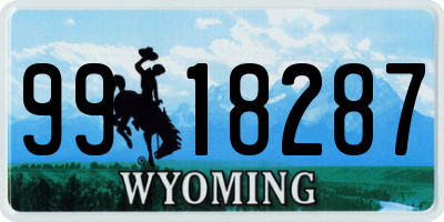 WY license plate 9918287
