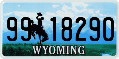 WY license plate 9918290