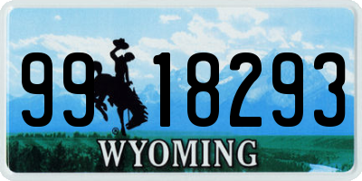 WY license plate 9918293