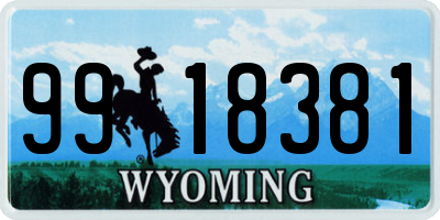 WY license plate 9918381
