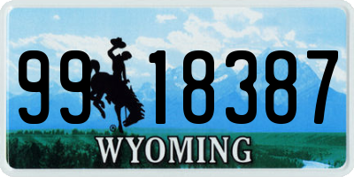 WY license plate 9918387