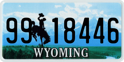 WY license plate 9918446