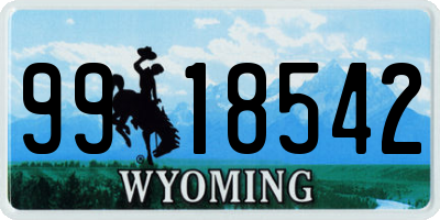 WY license plate 9918542