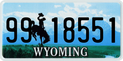 WY license plate 9918551