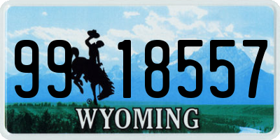 WY license plate 9918557