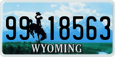 WY license plate 9918563