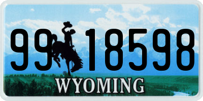 WY license plate 9918598