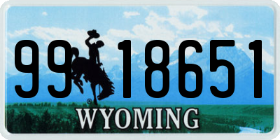 WY license plate 9918651