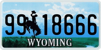 WY license plate 9918666