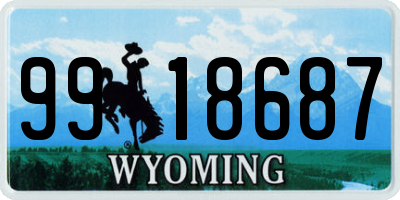 WY license plate 9918687