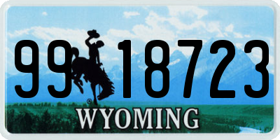 WY license plate 9918723