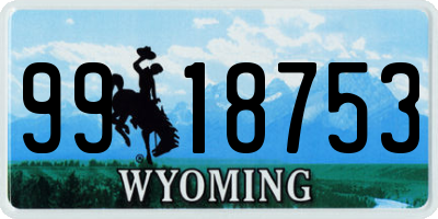 WY license plate 9918753