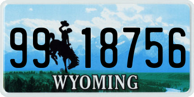 WY license plate 9918756