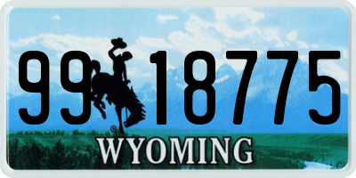 WY license plate 9918775