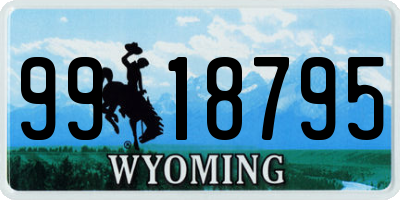 WY license plate 9918795