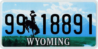 WY license plate 9918891