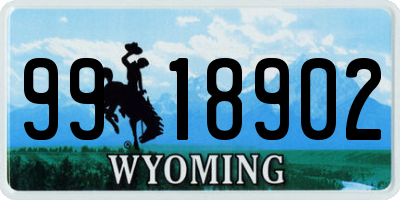 WY license plate 9918902