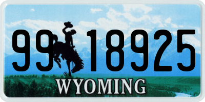 WY license plate 9918925