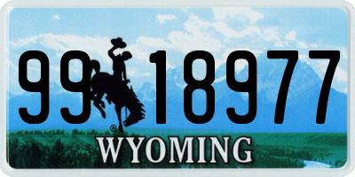 WY license plate 9918977