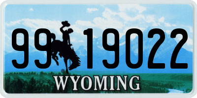 WY license plate 9919022