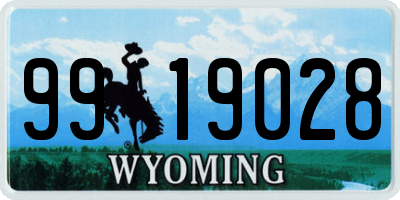WY license plate 9919028