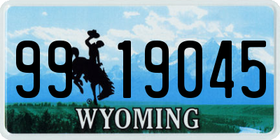 WY license plate 9919045